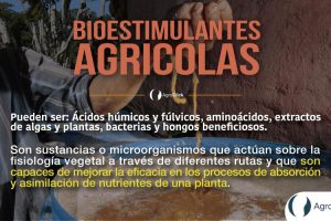 bioestimulantes,agroclick