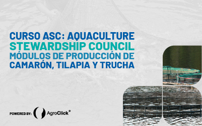 Curso ASC: Aquaculture Stewardship Council Módulos de producción de camarón, tiliapia y trucha