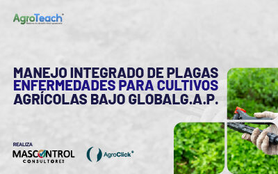 Manejo integrado de Plagas y enfermedades para cultivos agricolas bajo GLOBALG.A.P.