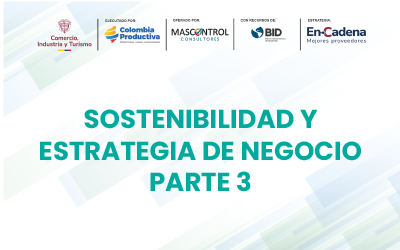 Sostenibilidad y Estrategia de negocio Parte 3