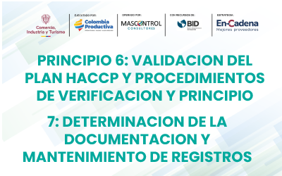 Principio 6: Validación del plan HACCP y procedimientos de verificación y Principio 7: Determinación de la documentación y mantenimiento de registros