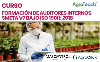 Formación de Auditores Internos SMETA V7 Bajo ISO 19011: 2018