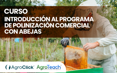 Introducción al Programa Polinización Comercial con Abejas