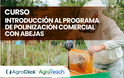 Introducción al Programa Polinización Comercial con Abejas
