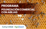 Programa Polinización Comercial con Abejas