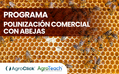 Programa Polinización Comercial con Abejas