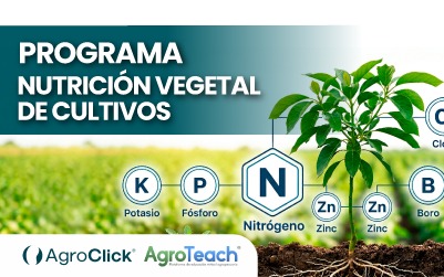 Programa nutrición vegetal de cultivos