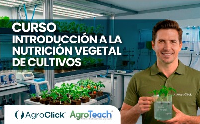Introducción a la nutrición vegetal de cultivos